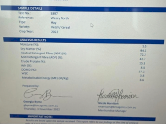 Vetch/Wheaten Hay 490kg 8x4x3 Bales (New Season 22/23)