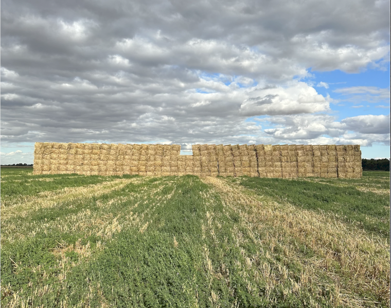 400mt Oaten Hay 8x4x3 Bales (New Season 22/23)