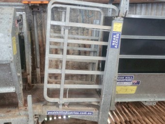 Peak Hill Immobilizer Sheep Worker 