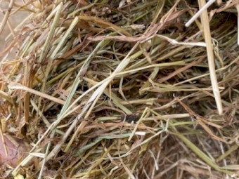 Rye Grass Clover Hay 8x4x3 Bales (New Season 22/23)