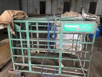 SHEEP HANDLING; SHEARING SHED EQUIPMENT