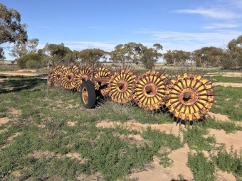 Horward Bagshaw Heavy Duty Root Scrub Rake