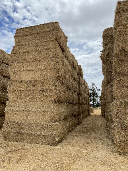 Barley, Clover, Lucerne straw 