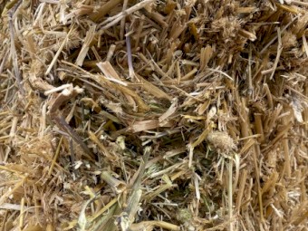 Barley, Clover, Lucerne straw 