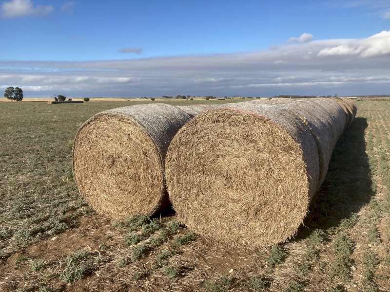 Vetch Hay 350kg 5x4 Round Bales