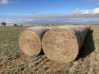 Vetch Hay 350kg 5x4 Round Bales
