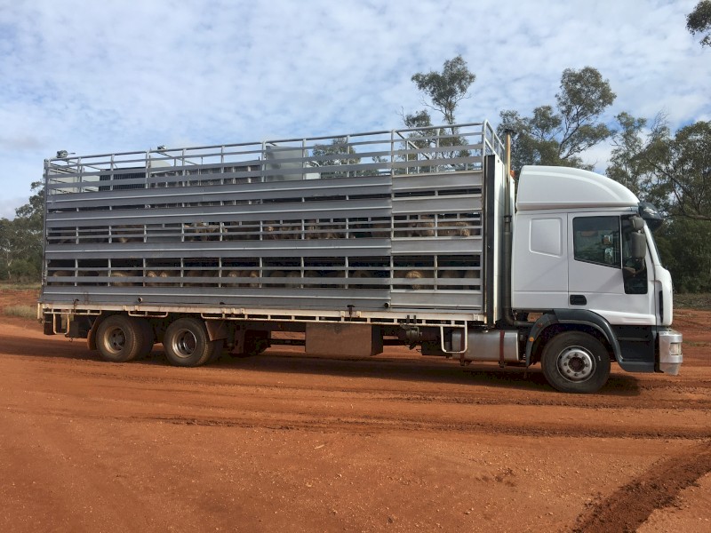 2006 Iveco Euro038 Livestock Truck with Crate