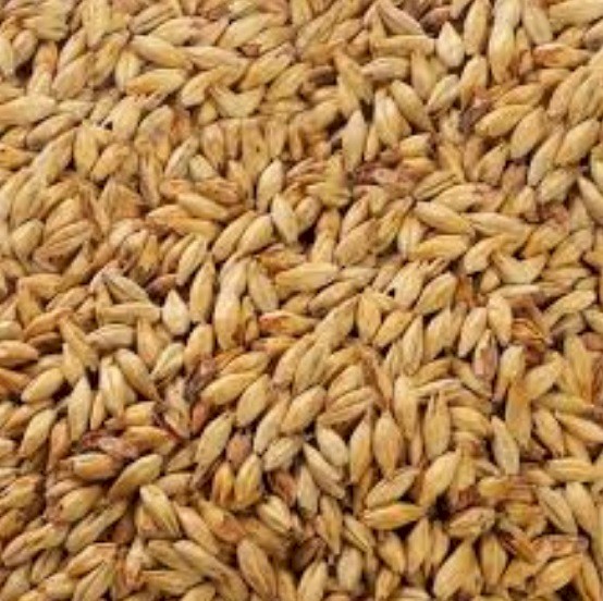 Cape Barley for Sale