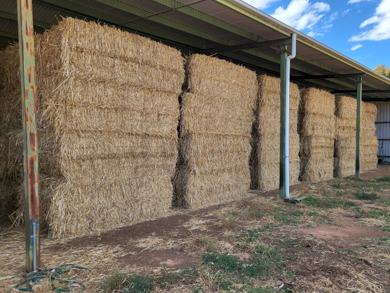 New Season Oaten hay 8x4x3 shedded