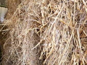 New Season Oaten hay 8x4x3 shedded