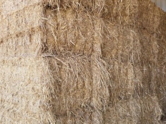 New Season Oaten hay 8x4x3 shedded