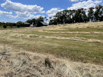 Square Bailed Pasture Hay - Tylden Area