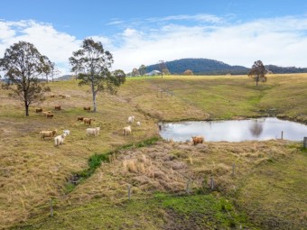 100 acre Property Available for Agistment