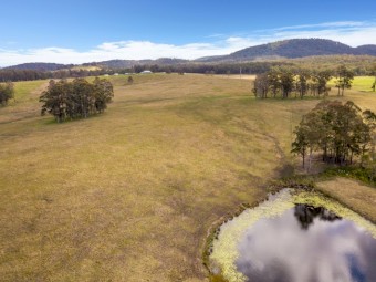 100 acre Property Available for Agistment