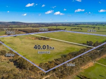 Shelbourne (near Bendigo, Maldon and Castlemaine) 40.01 hectares (approx. 100 acres available for agistment)