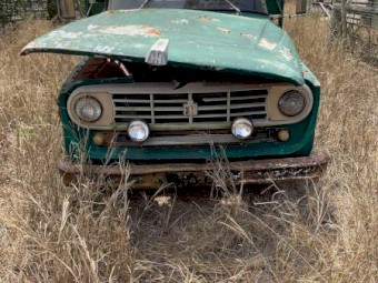 Old inter flattop ridgid