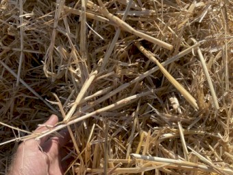 40 x Oaten Straw 500kg 8x4x3 Bales (New Season 22/23)