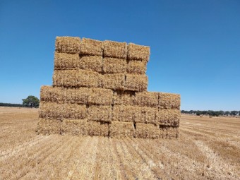 230mt Barley Straw 446kg 8x4x3 Bales (New Season 22/23)