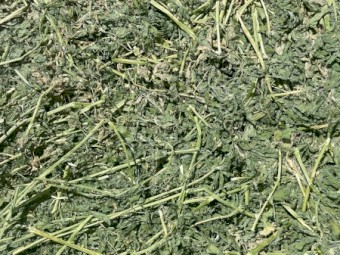 Prime Lucerne Small Squares - Equine Quality 