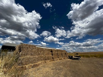 62 x Rye & Clover 8x3x3 Bales
