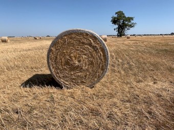 500 Round Bales Trailed Wheaten Straw 5x4 (New season)