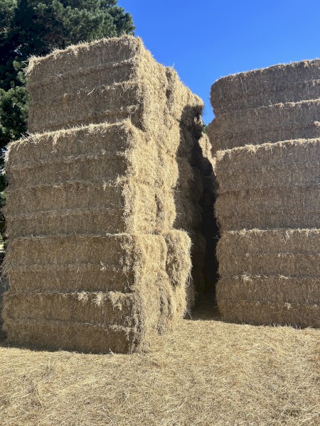 Pasture Hay 8x4x3 Bales (New Season 22/23)