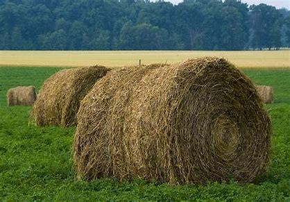 WANTED Spoiled Hay and Straw (Any Type, Any Quantity, Free to Good Home)