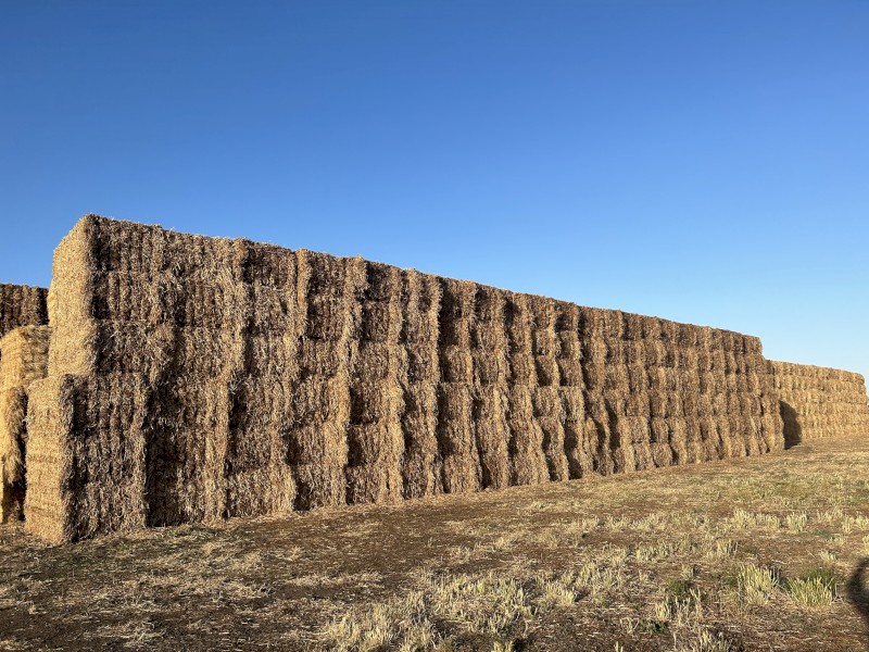 200mt Balansa Hay 500 kg 8x4x3 Bales