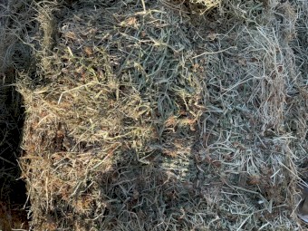 200mt Clover and Rye Hay 500kg 8x4x3 Bales