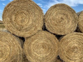 Grass Hay 4ft Round Bales