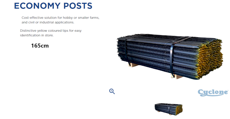 130 x Cyclone Star Posts Black 165cm