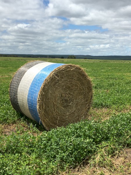 Wheaten and Shaftal Clover Hay 5x4 Bales