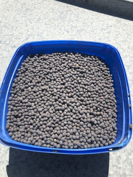 3 m/t Timok Vetch Seed