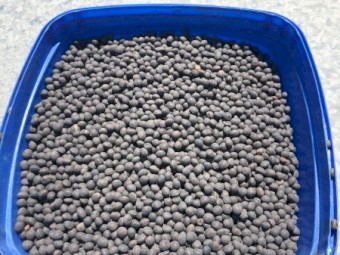 3 m/t Timok Vetch Seed