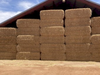 400mt  Barley Straw 8x4x3 Bales (22/23)