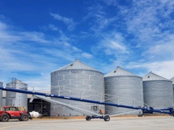 (A235)  Grainline  12