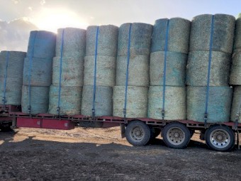 Wheaten and Rye 5x4 Round bales