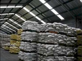 Granular Urea Fertilizer 46% Prilled Urea