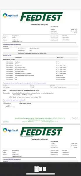 Clover/Rye Grass Pasture Hay 8x4x3 Bales (21/22)
