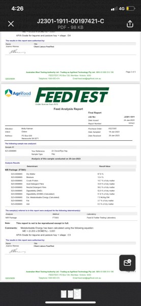 Clover/Rye Grass Pasture Hay 8x4x3 Bales (New Season 22/23)