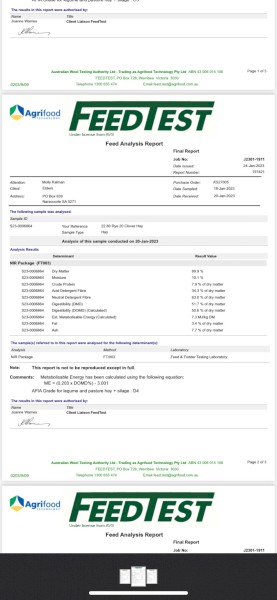 2022 8x4x3 Rye Grass/Clover Pasture Hay 100 Bales