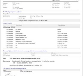 2022 8x4x3 Rye Grass/Clover Pasture Hay 100 Bales