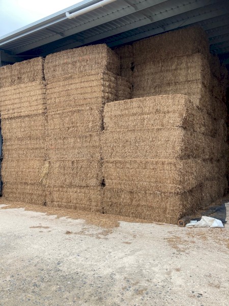 200tn Vetch Hay 600kg 8x4x3 Bales | Farm Tender