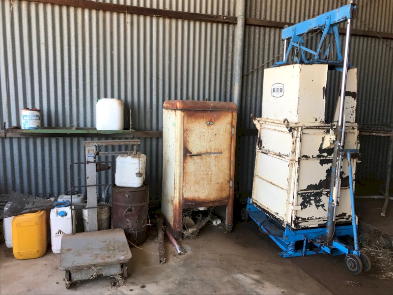SHEEP HANDLING; SHEARING SHED EQUIPMENT