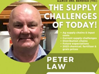 Good quality Shedded Header Trail Wheat Straw