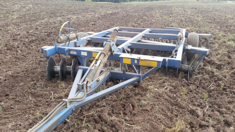 Grizzly Grumpy 28 plate discs