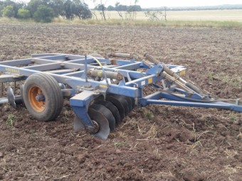 Grizzly Grumpy 28 plate discs