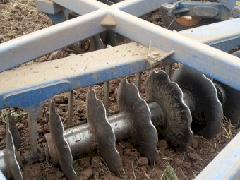 Grizzly Grumpy 28 plate discs