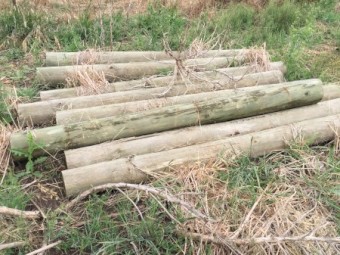 Assorted fencing supplies