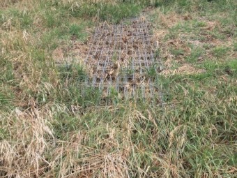 Assorted fencing supplies